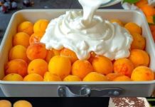 Savršen kolač od kajsija za samo 10 minuta! Najpoznatiji recept za kajsije. Topi se u ustima…