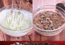 Ovaj desert zaslužuje nagradu! 🏆I ne zahtijeva pečenje!🍨