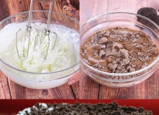 Ovaj desert zaslužuje nagradu! 🏆I ne zahtijeva pečenje!🍨