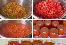 FANTASTIČNA ZAČINJENA SALATA ZA SVE GURMANE!