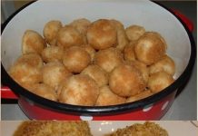 KNEDLICE SA ŠLJIVAMA…OVAJ RECEPT SAM DOBILA OD TETKE I UVIJEK UPALJA