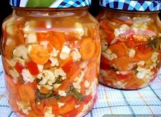 Već 10 godina pravim ovu zimnicu, pečene paprike sa češnjakom – recept za zimnicu bez konzervansa