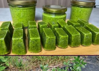 Tušt: Podcijenjena superhrana s maksimalnim zdravstvenim prednostima