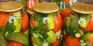 SAMO KLJUČALA VODA – Nevjerovatno ukusan recept