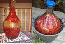 Vino od šipka – evo kako napraviti ovaj ukusan napitak bogat vitaminima