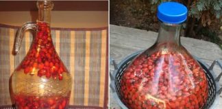 Vino od šipka – evo kako napraviti ovaj ukusan napitak bogat vitaminima