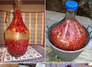 Vino od šipka – evo kako napraviti ovaj ukusan napitak bogat vitaminima