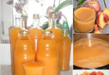 PROBALA SAM DOMAĆI SOK OD BRESKVE BEZ KONZERVANSA PUNO PUTA