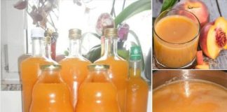 PROBALA SAM DOMAĆI SOK OD BRESKVE BEZ KONZERVANSA PUNO PUTA