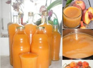 PROBALA SAM DOMAĆI SOK OD BRESKVE BEZ KONZERVANSA PUNO PUTA