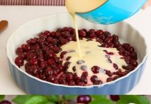 NEZNAČAJNA TORTA OD VIŠNJE KOJA SE TOPI U USTIMA – Bez pečenja, superkremasta, teksture između flanca i kolača, idealna za ljeto!