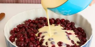 NEZNAČAJNA TORTA OD VIŠNJE KOJA SE TOPI U USTIMA – Bez pečenja, superkremasta, teksture između flanca i kolača, idealna za ljeto!