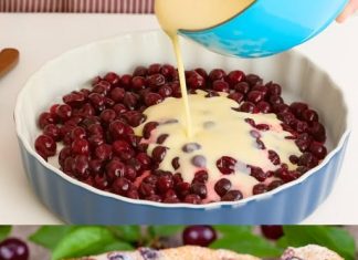 NEZNAČAJNA TORTA OD VIŠNJE KOJA SE TOPI U USTIMA – Bez pečenja, superkremasta, teksture između flanca i kolača, idealna za ljeto!