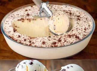 Ne kupujem sladoled u dućanu! Najbolji sladoled na svijetu! Samo 3 sastojka!