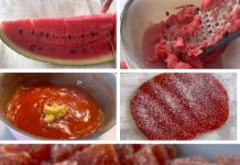 ŽELE OD LUBENICA SAMO 4 SASTOJKA