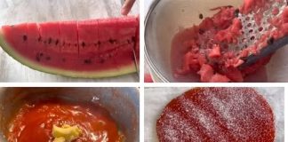 ŽELE OD LUBENICA SAMO 4 SASTOJKA