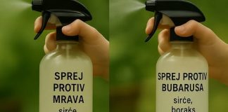 Uradi sam vodič: Domaća sredstva protiv insekata za dom bez nametnika