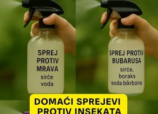 Uradi sam vodič: Domaća sredstva protiv insekata za dom bez nametnika