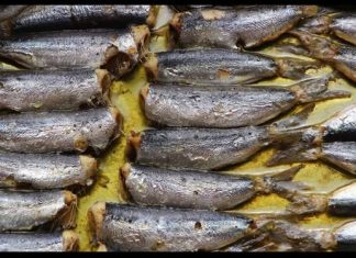 Jeftiniji je od lososa, dokazano najzdravija riba na svijetu: Jedite ga ako želite dugo živjeti