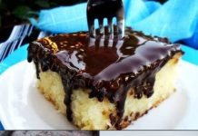 BRZI SOČNI KOLAČ… ZA PRIPREMU ĆE VAM TREBATI ČITAVIH 5 MINUTA