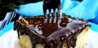 BRZI SOČNI KOLAČ… ZA PRIPREMU ĆE VAM TREBATI ČITAVIH 5 MINUTA