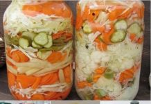 MIJEŠANA SALATA – HLADNA