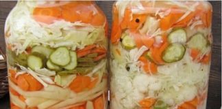 MIJEŠANA SALATA – HLADNA