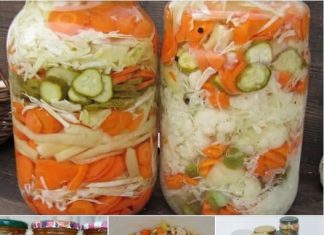 MIJEŠANA SALATA – HLADNA