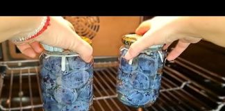 Svježe šljive čuvam u tegli do zime! Ne kvare se godinama!