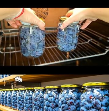 Svježe šljive čuvam u tegli do zime! Ne kvare se godinama!