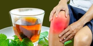 Čaj od koprive: prirodno rješenje za kontrolu mokraćne kiseline