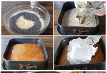 SOČAN KOLAČ S MAKOM…GOVAN U PAR JEDNOSTAVNIH KORAKA….