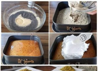 SOČAN KOLAČ S MAKOM…GOVAN U PAR JEDNOSTAVNIH KORAKA….