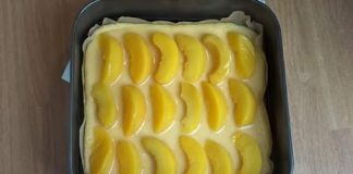 VOĆNA TORTA OD BRESKVE: Kremasta, ukusna i vrlo jednostavna za pripremu