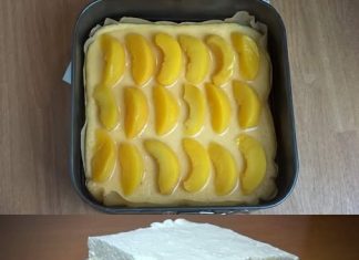 VOĆNA TORTA OD BRESKVE: Kremasta, ukusna i vrlo jednostavna za pripremu