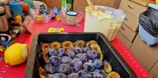 Iskoristite sezonu šljiva i pripremite bakin kolač od ovog voća, a na kraju ćete imati prekrasan desert.