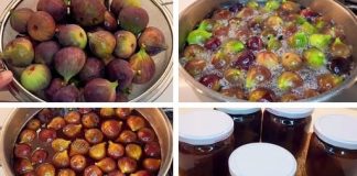 SLATKO OD SMOKVA… POTREBNA SU VAM SAMO 3 SASTOJKA