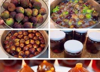 SLATKO OD SMOKVA… POTREBNA SU VAM SAMO 3 SASTOJKA