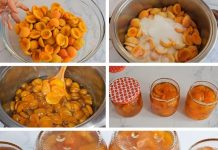 SAVRŠEN RECEPT ZA DŽEM BEZ JAGODA – SLATKA TAJNA KOJU MORATE PROBATI!