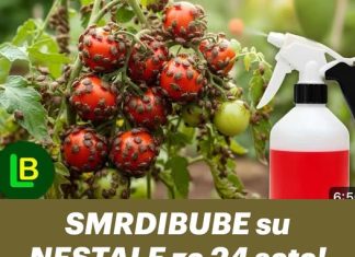 SMRDIBUBE NESTALE za 24 sata! Nisam vjerovao dok nisam probao