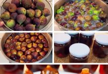 SLATKO OD SMOKVA… POTREBNA SU VAM SAMO 3 SASTOJKA