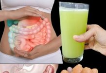 Samo 3 dana i vaša crijeva i jetra bit će kao novi – snažan detox s mrkvom!