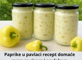 PAPRIKE U VRHNJU 😍 – DOMAĆA PREDJELA SA SIROM I VRHNJEM