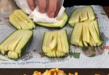 OVO ČUDO OD TIKVICA MORATE PROBATI! U SPOJINI S TARTAR UMAKOM Nevjerojatno hrskav i punog okusa – brzo se priprema, a još brže nestaje!