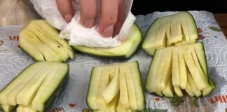 OVO ČUDO OD TIKVICA MORATE PROBATI! U SPOJINI S TARTAR UMAKOM Nevjerojatno hrskav i punog okusa – brzo se priprema, a još brže nestaje!