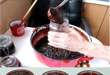 KAKO NAPRAVITI DŽEM OD ŠLJIVA U PEĆNICI Bolji okus ne možete zamisliti