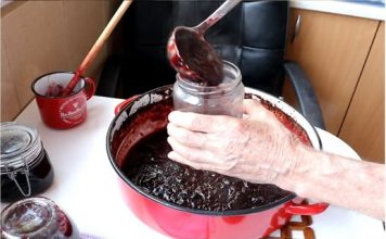 KAKO NAPRAVITI DŽEM OD ŠLJIVA U PEĆNICI Bolji okus ne možete zamisliti