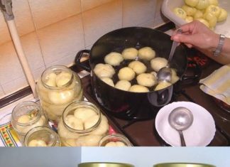 PAPRIKA-PAPRIKA BARENE ZA ZIMNICU… Jednostavan recept koji se može primijeniti i na kornišone i na zelene rajčice.