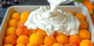 Savršen kolač od marelica u samo 10 minuta! Najpoznatiji recept za marelice. Topi se u ustima…