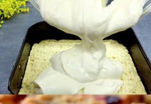 🫐🍰 NAJBOLJI CHEESECAKE OD BOROVNICA IZ TAPICE – NAJLAKŠA VERZIJA IKAD!** 🍰🫐